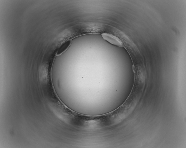 X0000113170312200909041327