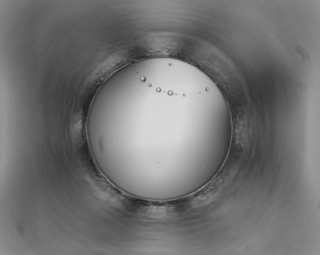 X0000113170314200909041327