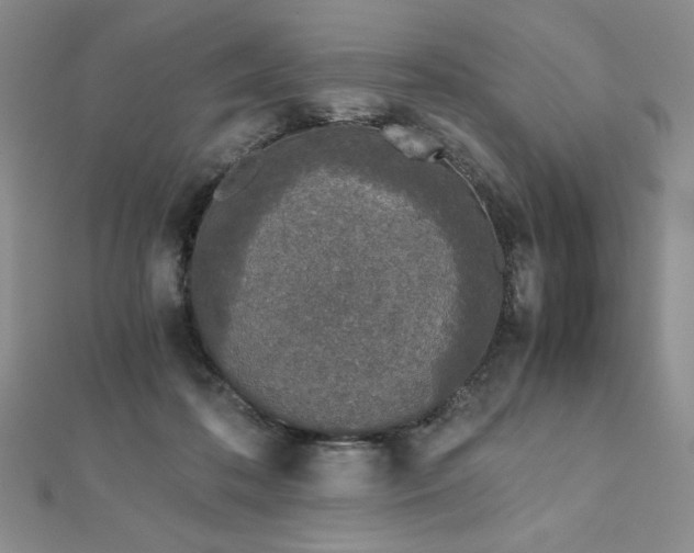 X0000113170316200909041327