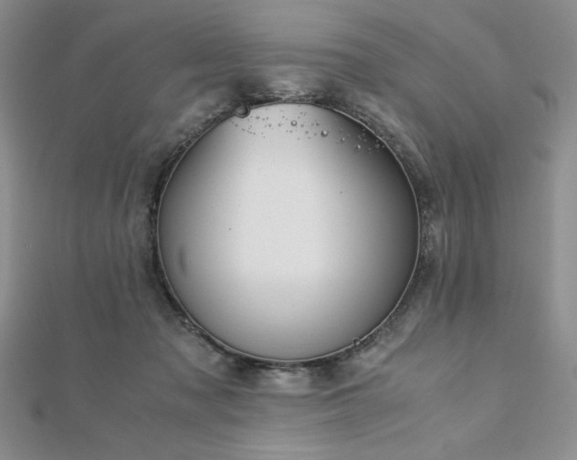 X0000113170317200909041327