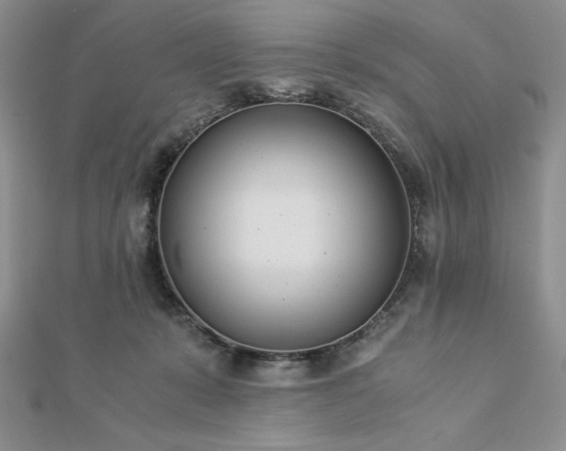 X0000113170319200909041327