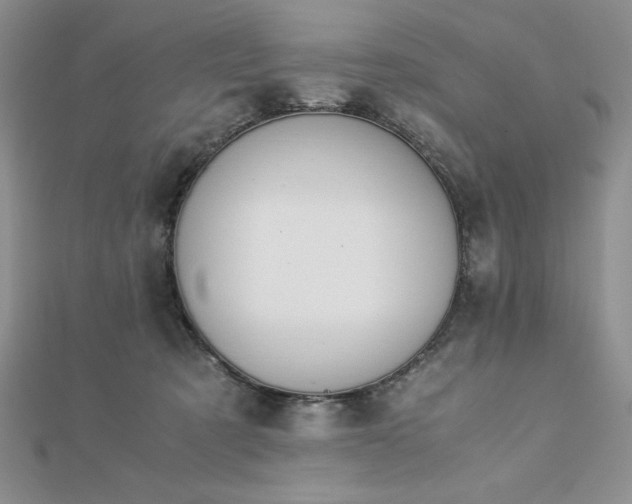 X0000113170321200909041327