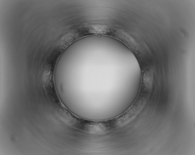 X0000113170322200909041327
