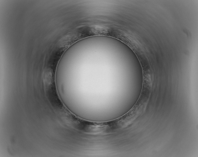 X0000113170323200909041327