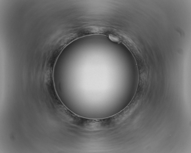 X0000113170325200909041327