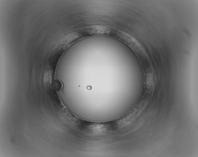 X0000113170326200909041327