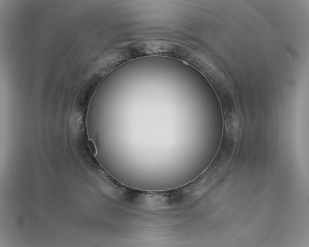 X0000113170327200909041327
