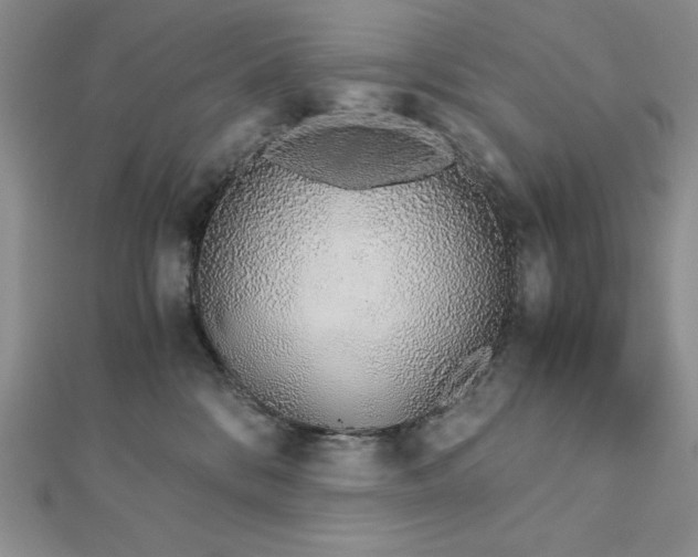 X0000113170328200909041327