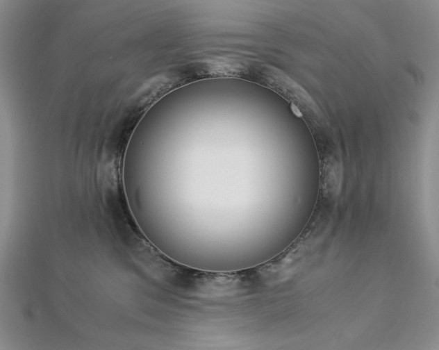 X0000113170329200909041327