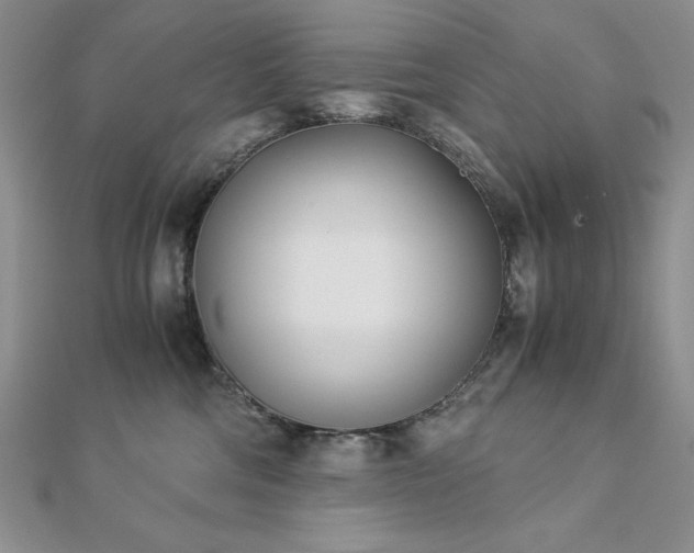 X0000113170330200909041327