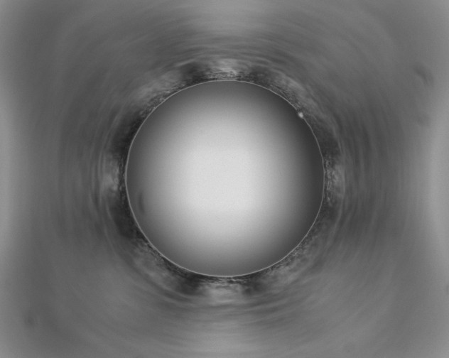 X0000113170331200909041327