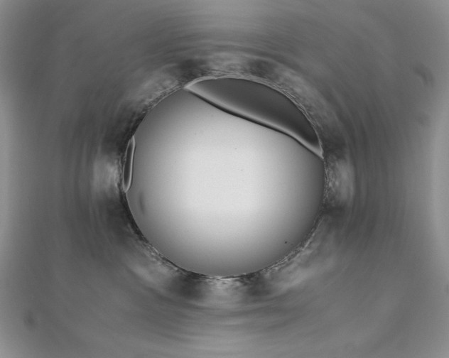 X0000113170333200909041327
