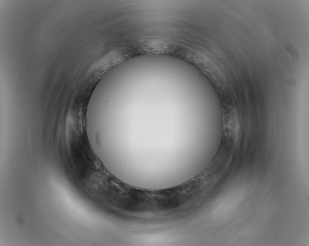 X0000113170334200909041327
