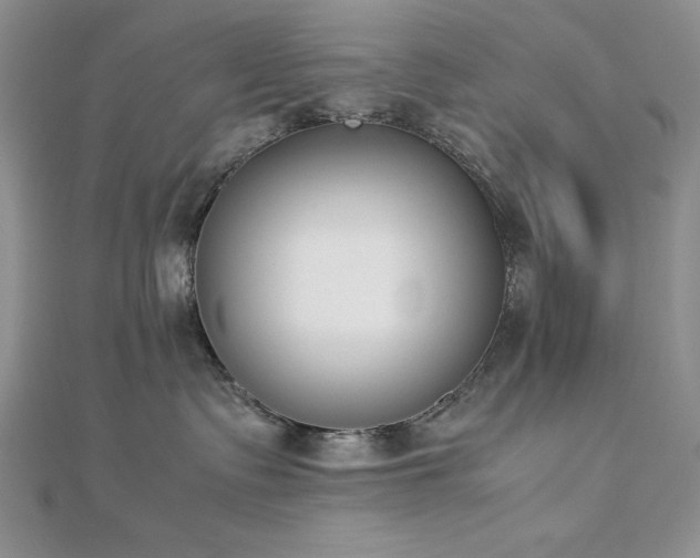 X0000113170335200909041327