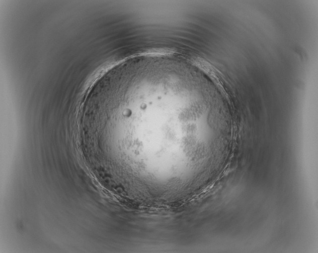 X0000113170337200909041326
