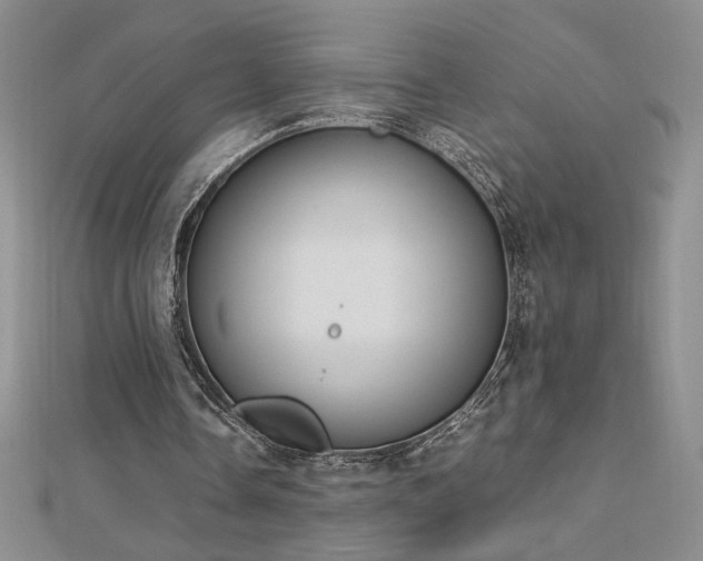 X0000113170338200909041326