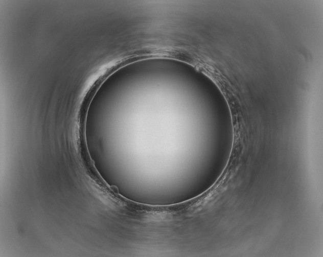 X0000113170342200909041326