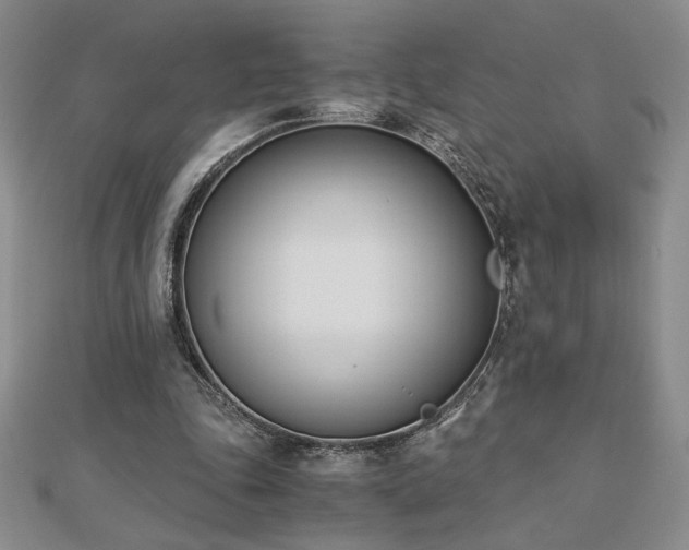 X0000113170343200909041326
