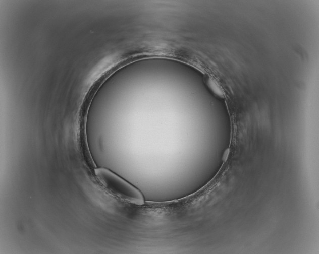 X0000113170344200909041326