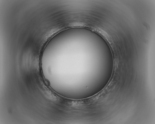 X0000113170345200909041326