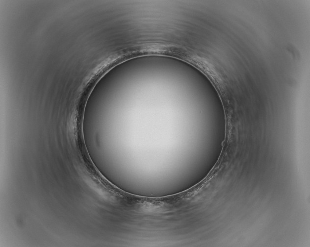 X0000113170346200909041327