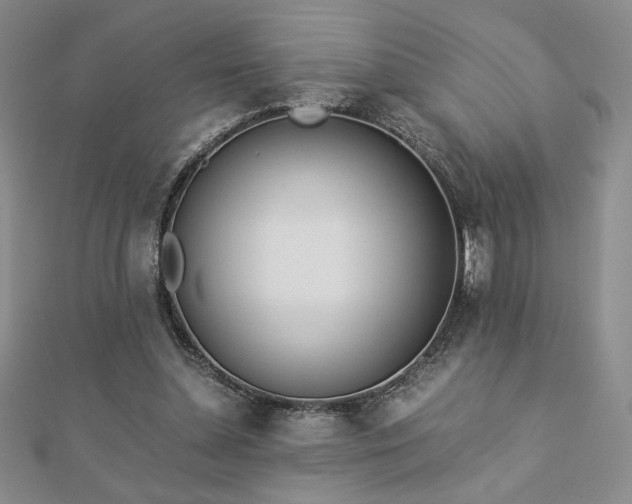 X0000113170348200909041327