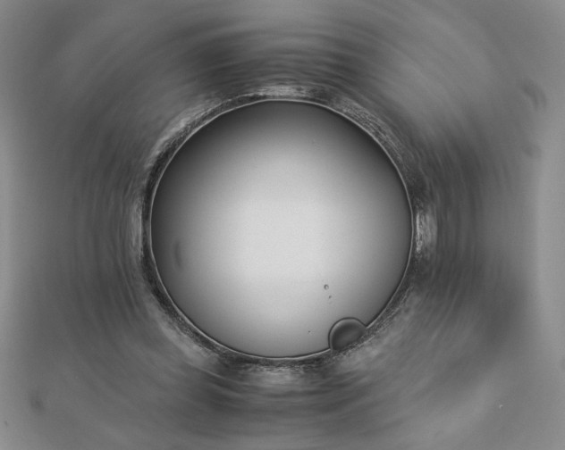 X0000113170349200909041327