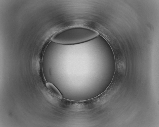 X0000113170350200909041327