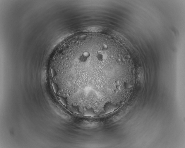 X0000113170351200909041327