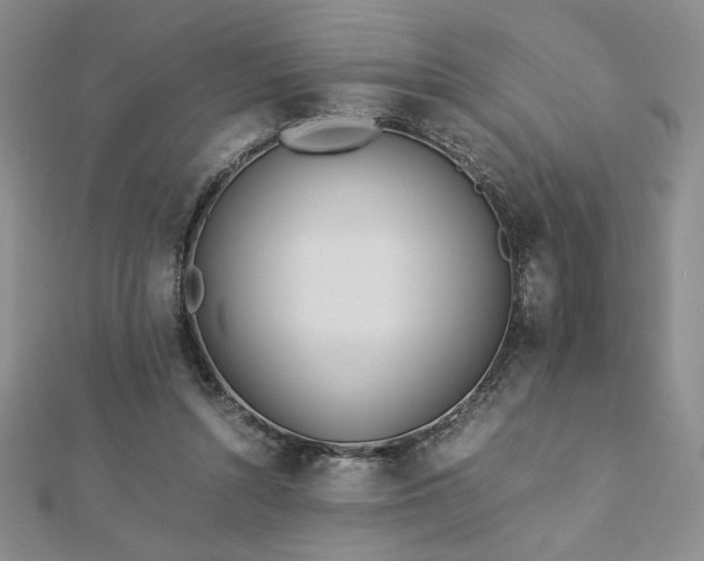 X0000113170352200909041327