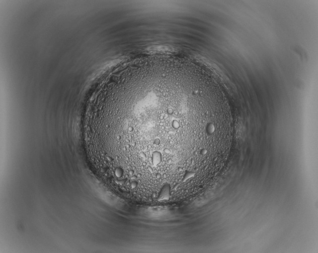 X0000113170353200909041327