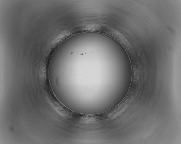X0000113170354200909041327