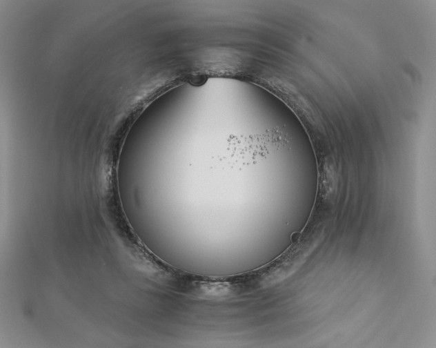 X0000113170355200909041327