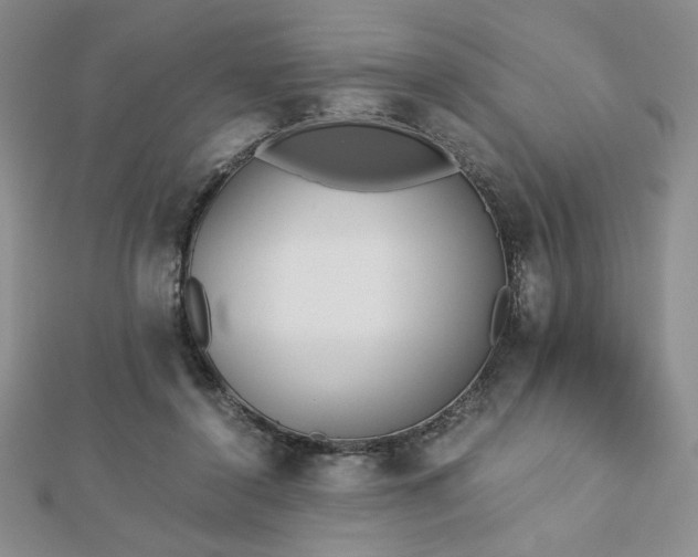 X0000113170356200909041327