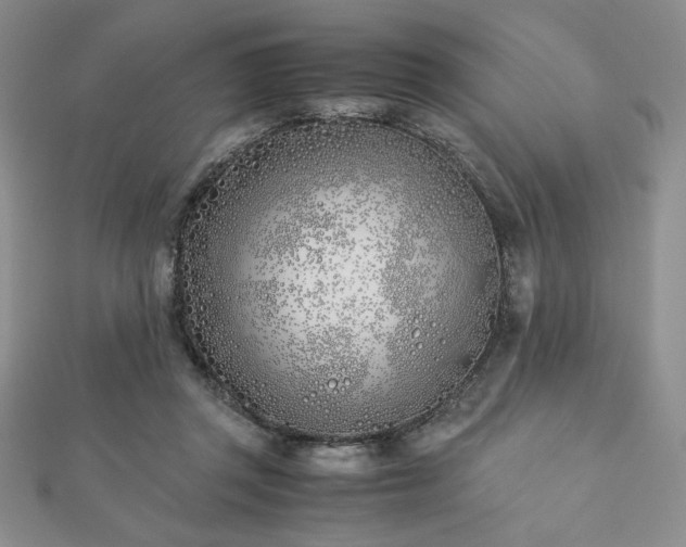 X0000113170357200909041327