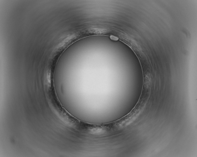 X0000113170358200909041327