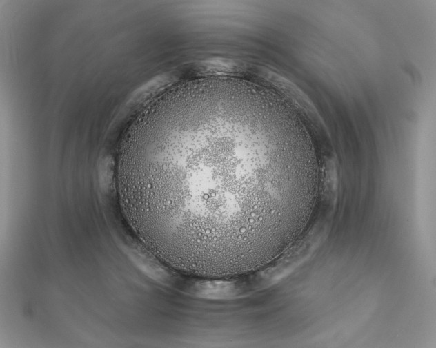 X0000113170361200909041327