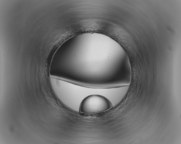 X0000113170362200909041327