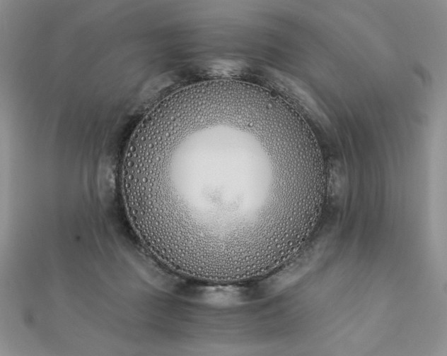 X0000113170363200909041327
