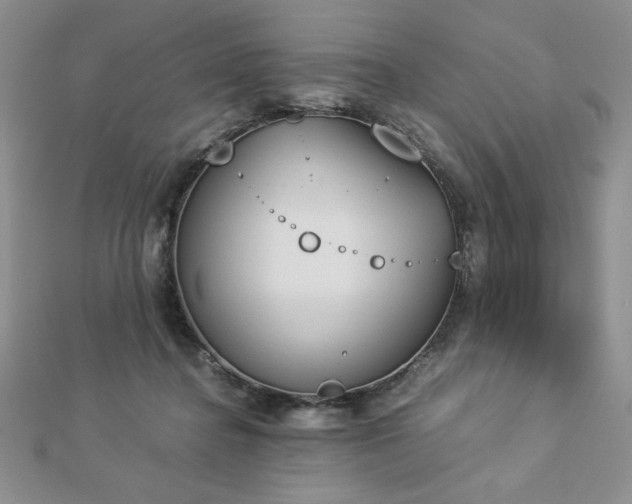 X0000113170364200909041327