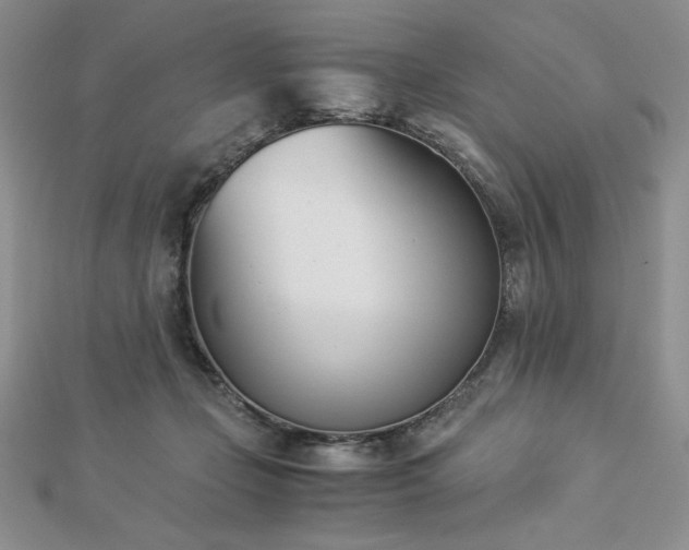 X0000113170365200909041327