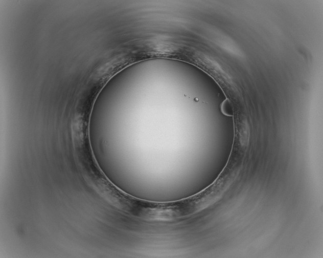 X0000113170366200909041327