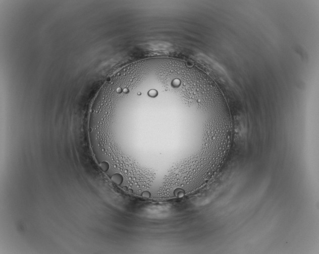 X0000113170369200909041327