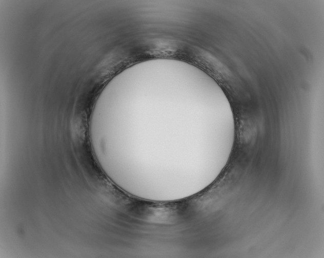 X0000113170370200909041327