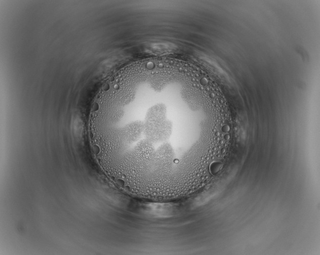 X0000113170371200909041327