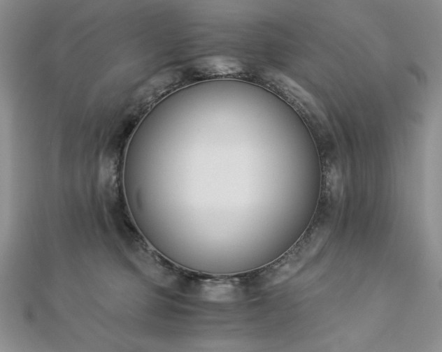X0000113170373200909041327