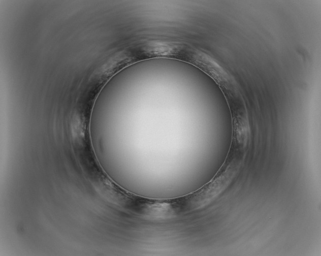 X0000113170374200909041327