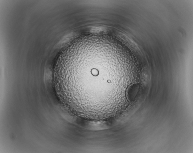 X0000113170375200909041327