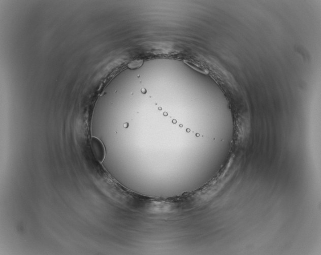 X0000113170376200909041327