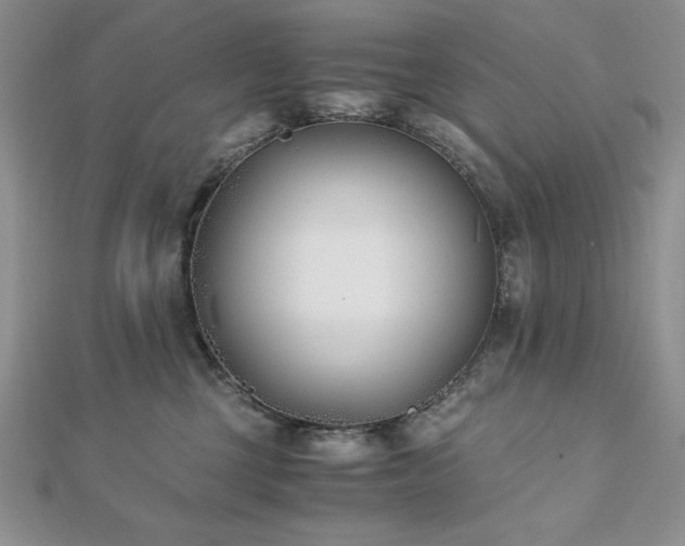 X0000113170377200909041327